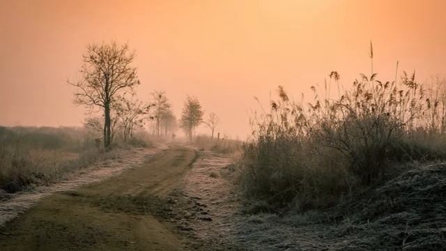 Весенняя любовь Николай Полотнянко смотреть онлайн