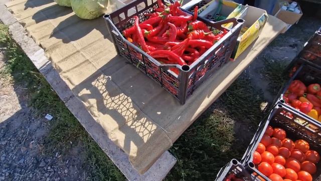 съездили на рынок