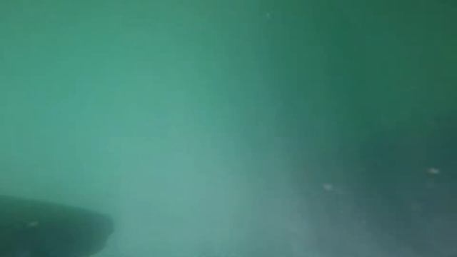 GoProForSaildriveCheck смотреть онлайн