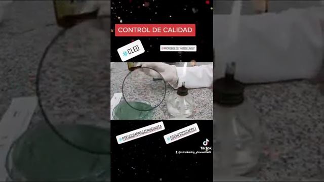 CONTROL DE CALIDAD (AGAR CLED) смотреть онлайн