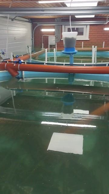 УЗВ спустя пол года после запуска смотреть онлайн