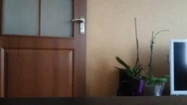 Заказ малютка Yves Rocher (Ив Роше)