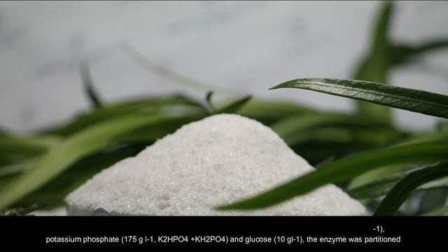 Single Step Aqueous Two-Phase System (ATPS), For Purification Of Glucose Oxidase (GOx)