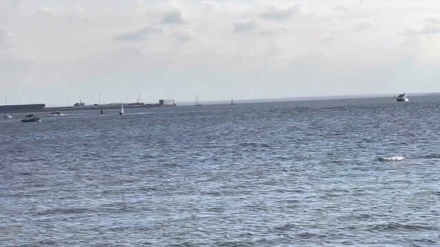 Финский залив