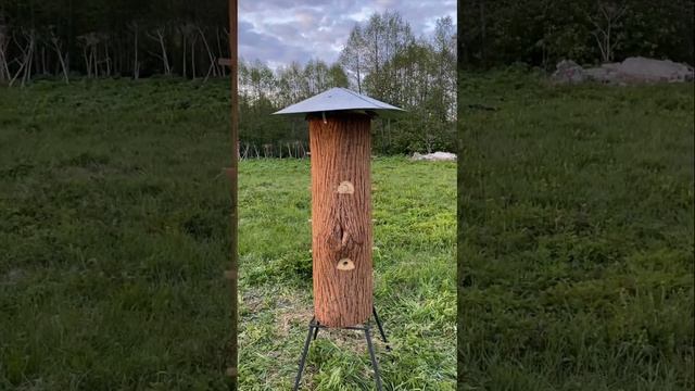 Купил колоды для пчёл. Возрождение моей пасеки смотреть онлайн