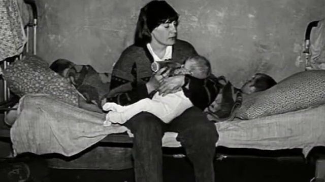 дети донбаса  Movie