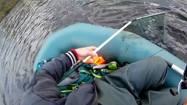 Орлик 16.10.2020