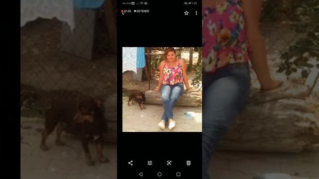 Foxsi😎🦈🦈🦈🦈🦈 смотреть онлайн