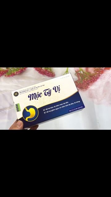 🔴 Review Mộc Tỳ VỊ có tốt không 0909 64 7968 ZA L0 TƯ VẤN Công Dụng Mộc Tỳ Vị phần 7 смотреть онлайн