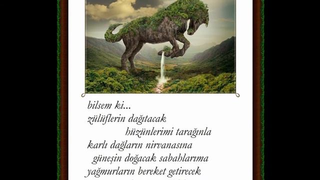 bilsem ki...(şiir:Demet Yalnız)