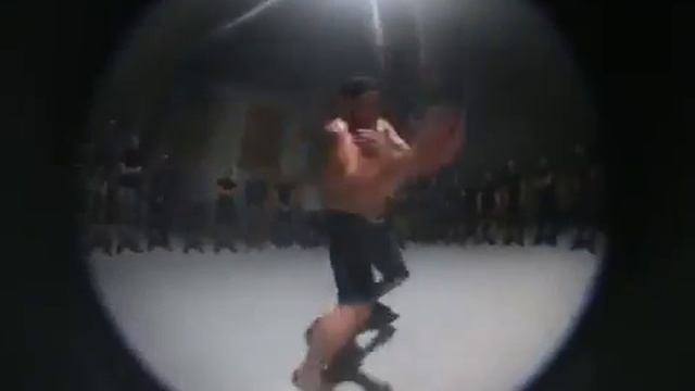 Грибы   Копы