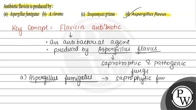 Antibiotic Flavicin Is Produced By:
(a) Aspergillus Fumigatus
(b) A...