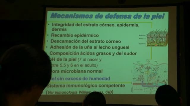 Segunda Clase De Hongos (generalidades Y Micosis Cutáneas) 3
