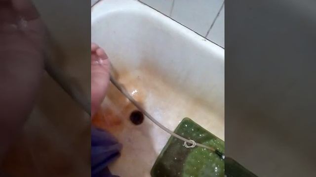 Обзор про хомяков меня убили смотреть онлайн