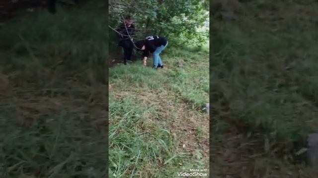 грибный день Бишкек