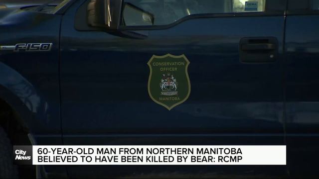 Manitoba man believed to have been killed by bear: RCMP смотреть онлайн