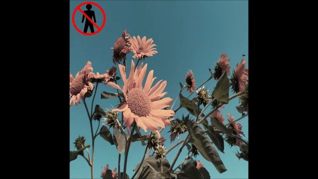 Последний Сигнал Мозга - Тревожные Сновидения смотреть онлайн