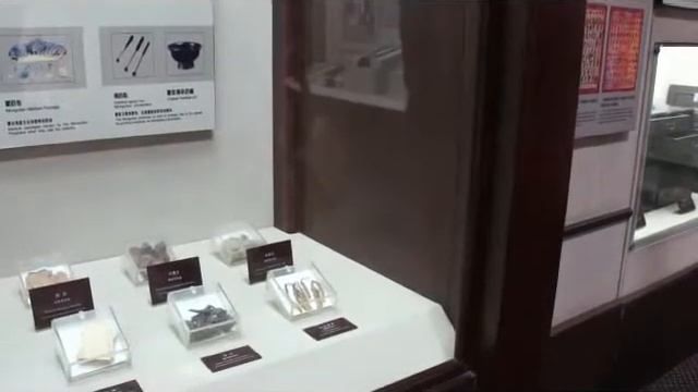 Traditional Chinese Medicine: Cordyceps