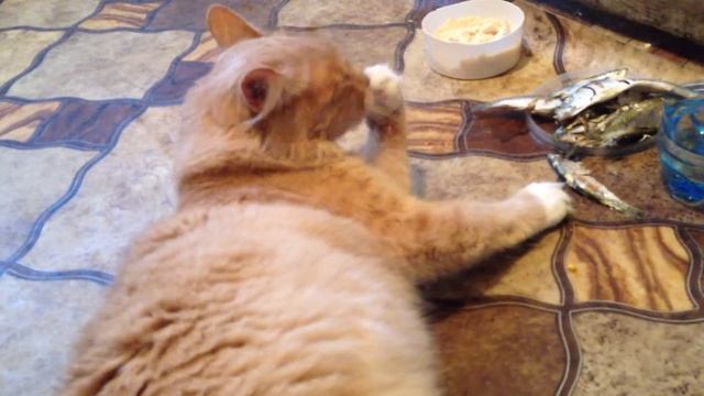 Жульен изволит дегустировать