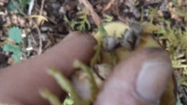 12 октября 2023 г.