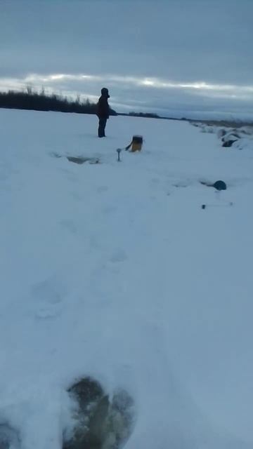 Рыбалка неклевалка . смотреть онлайн