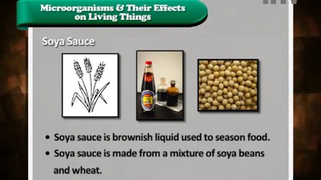 iTTV SPM KSSM Form 5 : Science Ch.01 - The Uses and Roles of Microorganisms смотреть онлайн