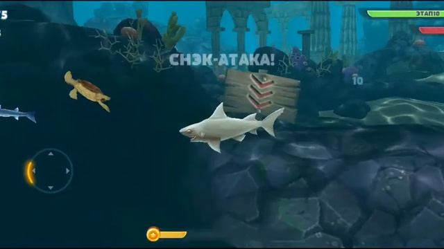 hungry shark | голодная акула смотреть онлайн