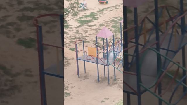 Вороны, воробьи. смотреть онлайн