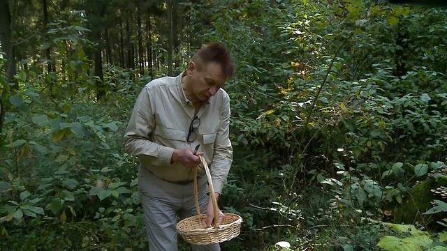 (12+) Сезон грибов в Мытищах открыт смотреть онлайн