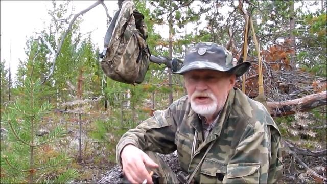 Чумовые рассказы  Интернет, грибы и пр