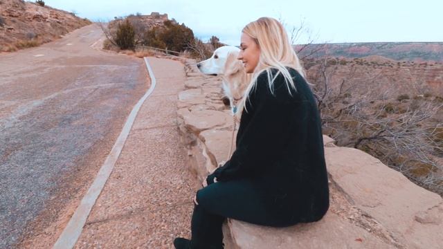 Dlaczego zakopał Caddilacki? смотреть онлайн