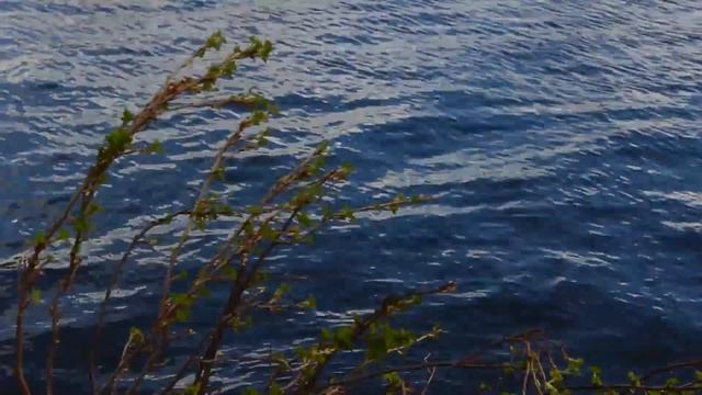 времена года май смотреть онлайн