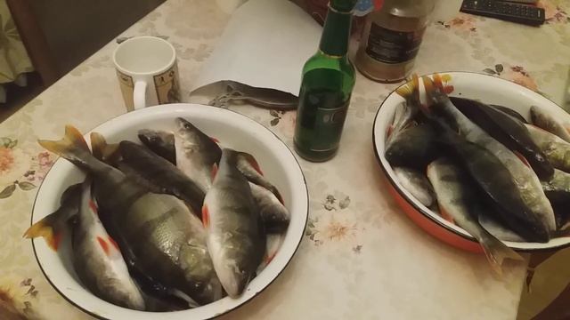 Санкт-Петербург...окунь 5кг смотреть онлайн