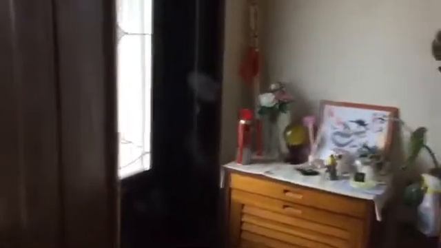 Cleaning glass cabinet, window, dining table and miror without glass cleaner. смотреть онлайн