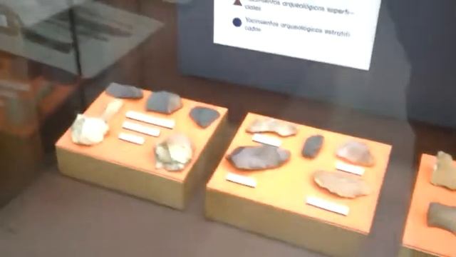 Museo historia natural Universidad nacional sede Bogota смотреть онлайн