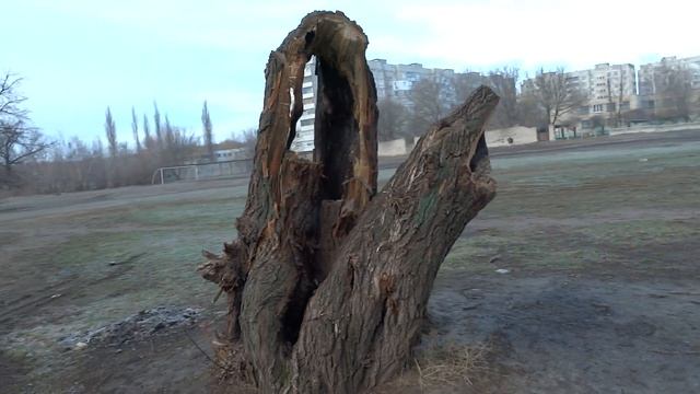 Ажурный пень и безрукий Ленин, 10.03.2016 Ковшаровка смотреть онлайн