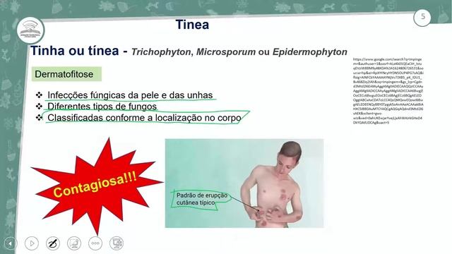 10.1 - REINO FUNGI II - BIOLOGIA - 2º ANO E.M - AULA 10.1/2021