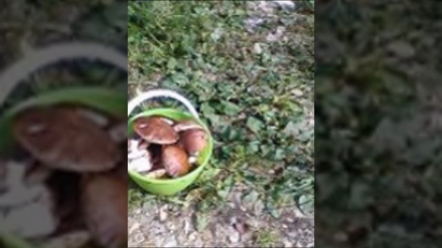 Для души и тела