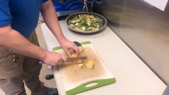 Behind the Scenes: Feeding the Gopher Tortoises смотреть онлайн