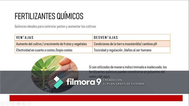 Analisis de raíz en planta tratada con bacterias Bacillus Subtilis смотреть онлайн