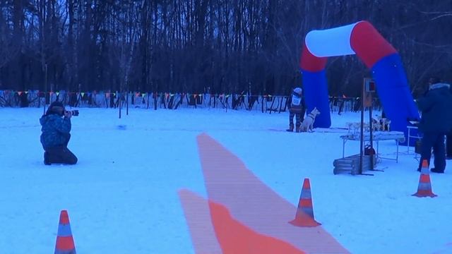 Веселые старты! смотреть онлайн