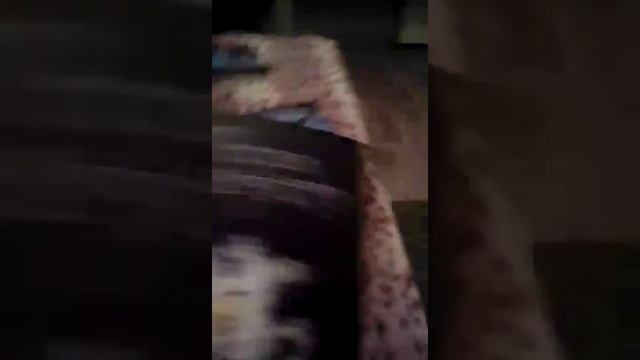 Подруга рекомендует