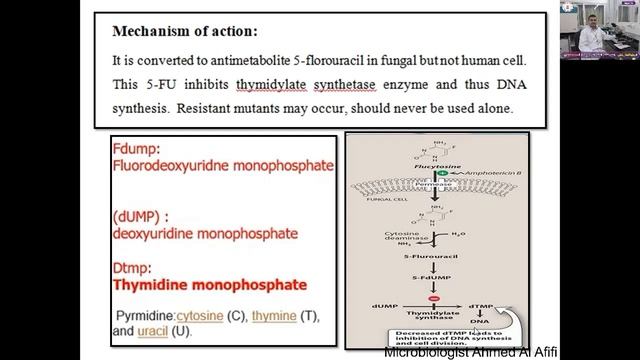 الفيديو الخامس عشر لمادة الفطريات الطبية لبكالوريوس التحاليل الطبية