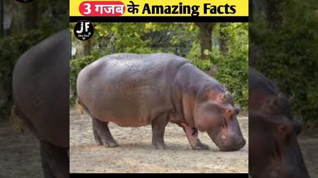 आंख का रंग हरा होता है 😮 | #shorts смотреть онлайн