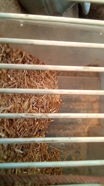 Batair faming смотреть онлайн