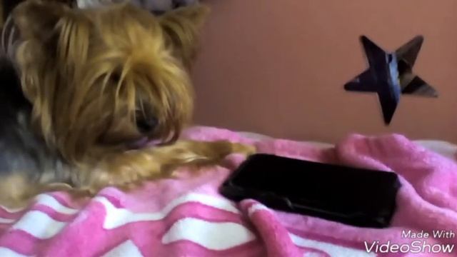 Переделанный клип (Наверно потомушто)! смотреть онлайн