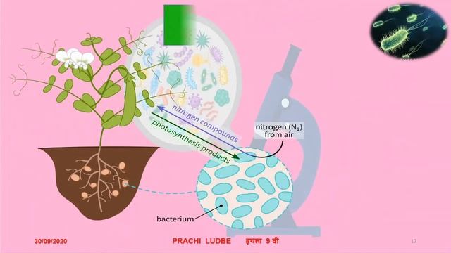 BMC.VTC MAR_इयत्ता _ 9th  , विषय - Science And Technology - L 8 - Useful And Harmful Microbes - I