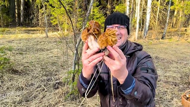 Вся Правда О Строчке Гигантском. Где И Как, Растут Строчки Гигантские, Как Вкусно Их Приготовить. смотреть онлайн