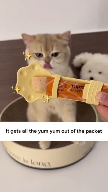 My Cat Turns Into 👹 Eating Treats! 😾 смотреть онлайн