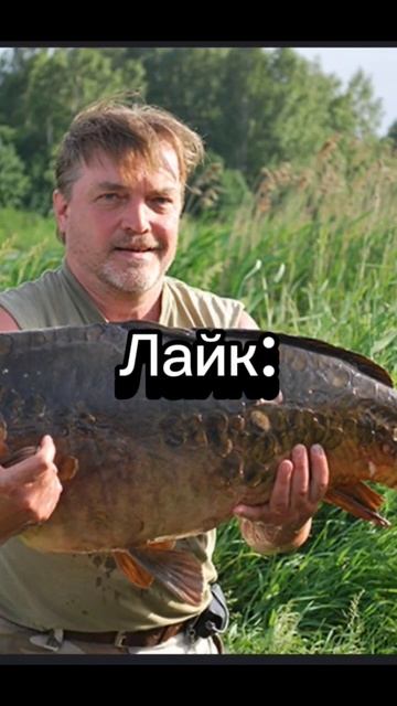 #хочуврек #рыбалка #хочуврекомендации #рек #shortvideo #shorts #улов #выбери смотреть онлайн